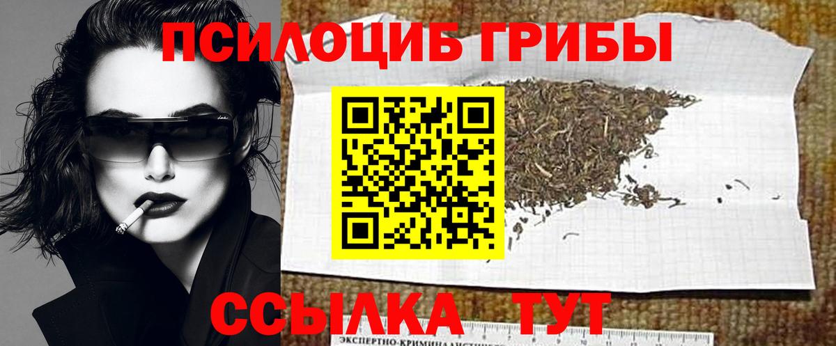 Псилоцибиновые грибы GOLDEN TEACHER Югорск