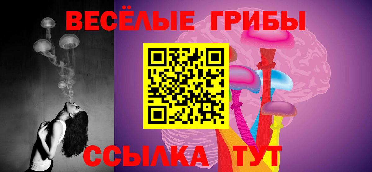 Псилоцибиновые грибы GOLDEN TEACHER  Вход с VPN  Псилоцибиновые грибы MAGIC MUSHROOMS  Югорск 